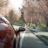 بازی DriveClub PS4 - Image 4