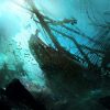 بازی Assassin's Creed IV: Black Flag PS4 - Image 2