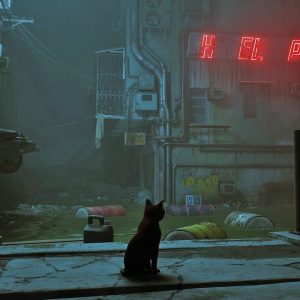 Stray