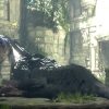 The Last Guardian